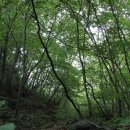 대강면 평촌마을 이미지