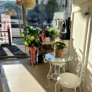 조이미용실 | 청천동미용실 살롱드조이 레이어드컷 후기, 역시 믿고 가는 미용실