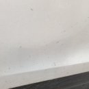 제이디테일링 이미지