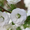 금대리농장 이미지