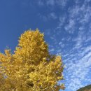 옥산목욕탕 이미지