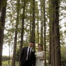 마이포시즌스