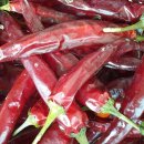 늘햇살농원 이미지