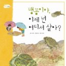 맹꽁이 이미지
