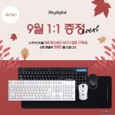 메인피씨(PC) 이미지