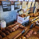 도토리(dotori) 이미지