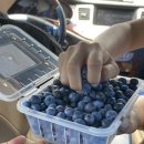 현규농장 이미지