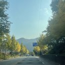 인제연가리오토캠핑장펜션 이미지