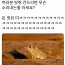 크레파스문구 - 충주시 삼원로 127 | 2026 인벤타리오 문구페어 후기_어른되긴 글럿슨