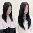 붙이다니 이미지