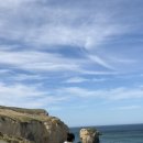 청림초등학교 앞(육교 밑) | 뉴질랜드 남섬 더니든 당일치기 여행 후기