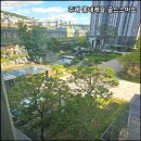 주례롯데부동산중개 네이버블로그