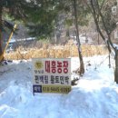 대흥민박 이미지