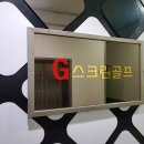 지스크린골프 네이버블로그