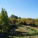 경상남도수목원박물관 이미지