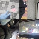 봉의중학교 | 엑소 8집 쇼케이스 초대 이벤트 당첨 후기 | 12월의 기적 같은 하루