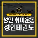 건강한태권도 | [수원성인태권도]여성전문 성인태권도 후기｜1월 새해 운동, 체력·스트레스 관리까지!