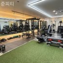 준피티