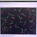 이화에스여성산부인과의원 이미지