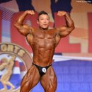 아놀드헬스 이미지