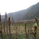 사월농장 이미지