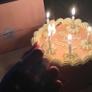 기브앤케이크