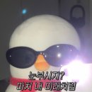 그래비 이미지
