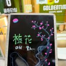 수원 방탈출 [ 골든타임 이스케이프 &#39;매화&#39; ] 후기