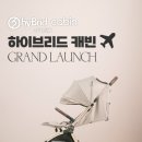 센트럴 하이브리드 이미지