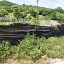 상걸농장 이미지