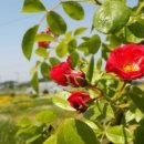 (주)행복한자동차공업사 이미지