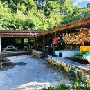 세쌍둥이네 풀꽃세상 이미지