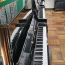 민안초등 이미지