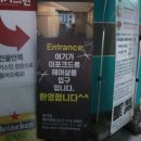 봉숭아물 물들이다 | 정자동 미용실 이포크드류 뿌리염색 후 와칸으로 물들이다.