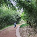 울주 대곡리 반구대 암각화 이미지