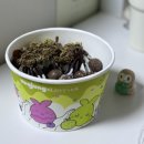 조은마음도서관 | 2025.08 양산 안 쓰고는 못 다니겠어요 찐빵 되겠어요 아이스크림 엄마가 사 준댔어요