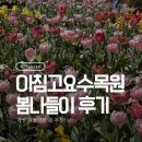 가평의아침 | 가평 아침고요수목원 주말 봄나들이 코스 꽃구경 후기
