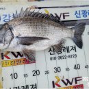 신광낚시 이미지