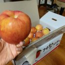 거창-고제-8 이미지