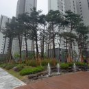 고덕국제신도시 금호어울림 이미지