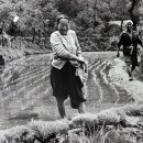 구슬엔 작대기 이미지