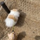 일산근린공원 화장실 이미지