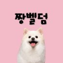 캉스펫 | 바쁜 견주들을 위한 애견미용실✂️당일미용🙆‍♀️야간미용🙆‍♀️ 캉스펜 애견미용 부천점🐕