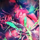 안심튼튼마취통증의학과의원 이미지