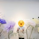 봄씨테이블 이미지