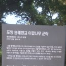 흥해읍 이팝 작은도서관 이미지