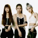 트렌드플레이스매거진 이미지