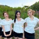 하이키 카카오 검색결과
