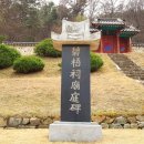 벽오사 이미지