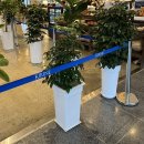 KIRINE(키린느) 이미지